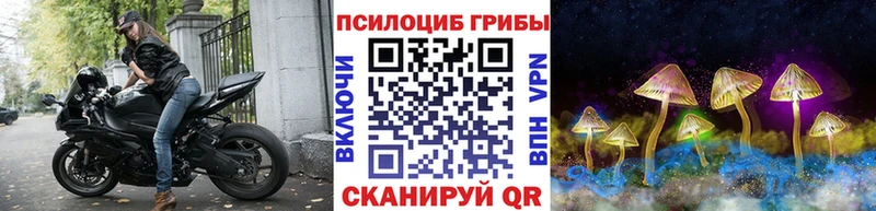 Купить закладки  Кириллов  Галлюциногенные грибы Cubensis 